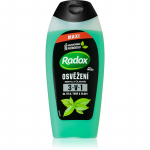 Radox Men Feel Strong Du&scaron;igeel n&auml;ole, kehale ja juustele 450 ml