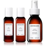 Sachajuan Scalp Care Discovery Kit Reisikomplekt peanahale 1 tk