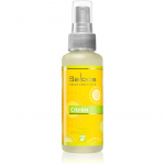 Saloos Air Fresheners Lemon Ruumipihusti 50 ml