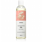 Satisfyer Massage Oil Neutral Massaaži&otilde;li l&otilde;hnatu 250 ml