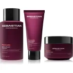 Sebastian Professional Penetraitt Bundle komplekt kahjustatud, keemiliselt t&ouml;&ouml;deldud juustele