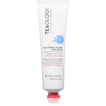 Teaology Hyaluronic Hydra Face Mask s&uuml;gavniisutav mask h&uuml;aluroonhappega 100 ml