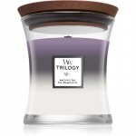 Woodwick Trilogy Amethyst Sky l&otilde;hnak&uuml;&uuml;nal puidust taht 275 g