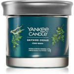 Yankee Candle Bayside Cedar l&otilde;hnak&uuml;&uuml;nal I. 122 g