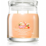 Yankee Candle Mango Ice Cream l&otilde;hnak&uuml;&uuml;nal signatuur 368 g