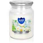 BISPOL Premium Line Jasmine l&otilde;hnak&uuml;&uuml;nal 500 g