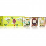 Baobab Collection My First Baobab Green Kinkekomplekt 1 tk