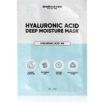 breakout + aid Hyaluronic Acid Deep Moisture Mask Niisutav n&auml;o lehtmask h&uuml;aluroonhappega 34 g