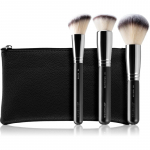 BrushArt Professional Full Face brush set with makeup pouch pintslite komplekt koos kotiga Black