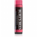 Burt&rsquo;s Bees Tinted Lip Balm Huulepalsam varjund Hibiscus 4.25 g