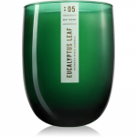 DW Home Wooden Wick Candles Eucalyptus Leaf l&otilde;hnak&uuml;&uuml;nal 479 g