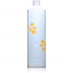 Echosline Hydrating Shampoo Niisutav &scaron;ampoon kuivadele ja t&otilde;rksatele juustele 1000 ml