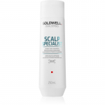 Goldwell Dualsenses Scalp Specialist &Scaron;ampoon &otilde;henevatele juustele 250 ml