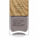 Nails Inc. Plant Power Kauap&uuml;siv k&uuml;&uuml;nelakk varjund What's Your Spirituality 14 ml