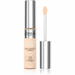 L&rsquo;Or&eacute;al Paris True Match Niisutav peitekreem varjund 2R 11 ml