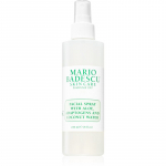 Mario Badescu Facial Spray with Aloe, Adaptogens and Coconut Water V&auml;rskendav udupihusti normaalsele kuni kuivale nahale 236 ml