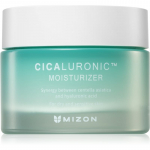 Mizon Cicaluronic&trade; Toitev ja niisutav kreem v&auml;ga kuivale ja tundlikule nahale 50 ml