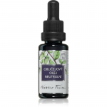 Nobilis Tilia Obličejov&yacute; olej Neutr&aacute;ln&iacute; Rahustav &otilde;li n&auml;ole 20 ml