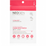Neogen Dermalogy A-Clear Soothing Spot Patch Puhastusplaaster aknenahale 24 tk