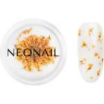 NEONAIL Dried Flowers kuivatatud &otilde;is k&uuml;&uuml;ntele varjund Orange 1 tk