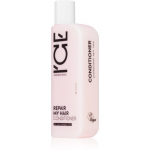 Natura Siberica ICE Professional Repair My Hair S&uuml;gavuti taastav palsam keratiiniga 250 ml