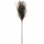 Taboom Peacock Tickler Dona Sulgedega K&otilde;diti Gold 1 tk