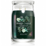 Yankee Candle Silver Sage & Pine l&otilde;hnak&uuml;&uuml;nal signatuur 567 g