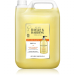 Baylis & Harding Sweet Mandarin & Grapefruit K&auml;teseep t&auml;itepakend 5000 ml