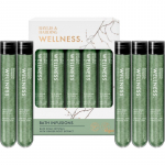 Baylis & Harding Wellness. Energise Kinkekomplekt vanni jaoks Ginger, Lime & Basil Leaf