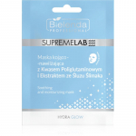 Bielenda Professional Supremelab Hydra Glow Niisutav n&auml;o lehtmask teoekstraktiga 1 tk