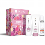 Biolage Essentials ColorLast Kinkekomplekt v&auml;rvitud juustele