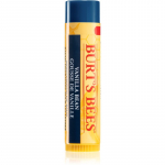 Burt&rsquo;s Bees Lip Care Niisutav huulepalsam vanilliga 4.25 g