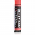 Burt&rsquo;s Bees Tinted Lip Balm Huulepalsam varjund Rose 4.25 g