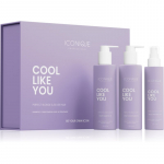 ICONIQUE Professional COOL LIKE YOU Perfect Blonde & Silver Violet Set komplekt kollaste toonide neutraliseerimiseks