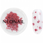 NEONAIL Dried Flowers kuivatatud &otilde;is k&uuml;&uuml;ntele varjund 08 Red 1 tk