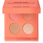 Pierre Ren&eacute; Everyday Elegance Palette Lauv&auml;rvipalett varjund Coral 1 tk