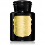 Paddywax Apothecary Noir Palo Santo l&otilde;hnak&uuml;&uuml;nal 226 g