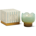 Paddywax Tulip Wisteria & Willow l&otilde;hnak&uuml;&uuml;nal 155 g