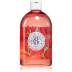 Roger & Gallet Gingembre Rouge L&otilde;hnastatud du&scaron;igeel 500 ml