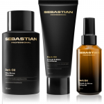 Sebastian Professional Dark Oil Set komplekt s&auml;ravate ja pehmete juuste jaoks