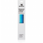 Stanley The Quencher Tumbler Straws varuk&otilde;rred 1180 ml Blue 4 tk