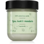 Tropicandle Lime, Basil & Mandarin l&otilde;hnak&uuml;&uuml;nal 170 ml