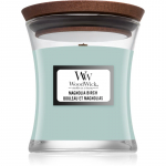 Woodwick Magnolia Birch l&otilde;hnak&uuml;&uuml;nal puidust taht 85 g