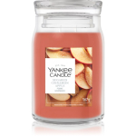 Yankee Candle Sugared Cinnamon Apple l&otilde;hnak&uuml;&uuml;nal 567 g
