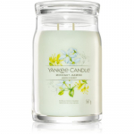 Yankee Candle Midnight Jasmine l&otilde;hnak&uuml;&uuml;nal I. Signature 567 g