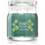 Yankee Candle Olive & Cypress l&otilde;hnak&uuml;&uuml;nal 368 g