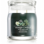 Yankee Candle Silver Sage & Pine l&otilde;hnak&uuml;&uuml;nal signatuur 368 g