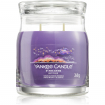 Yankee Candle Stargazing l&otilde;hnak&uuml;&uuml;nal 368 g