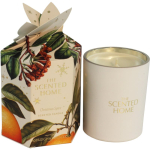 Ashleigh & Burwood London The Scented Home Christmas Spice l&otilde;hnak&uuml;&uuml;nal 170 g