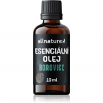 Allnature Essential Oil Pine eeterlik &otilde;li 10 ml